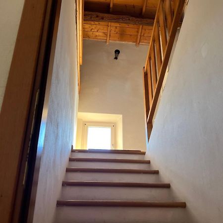 Visentin - Meraviglioso Attico In Legno Visome Exteriör bild
